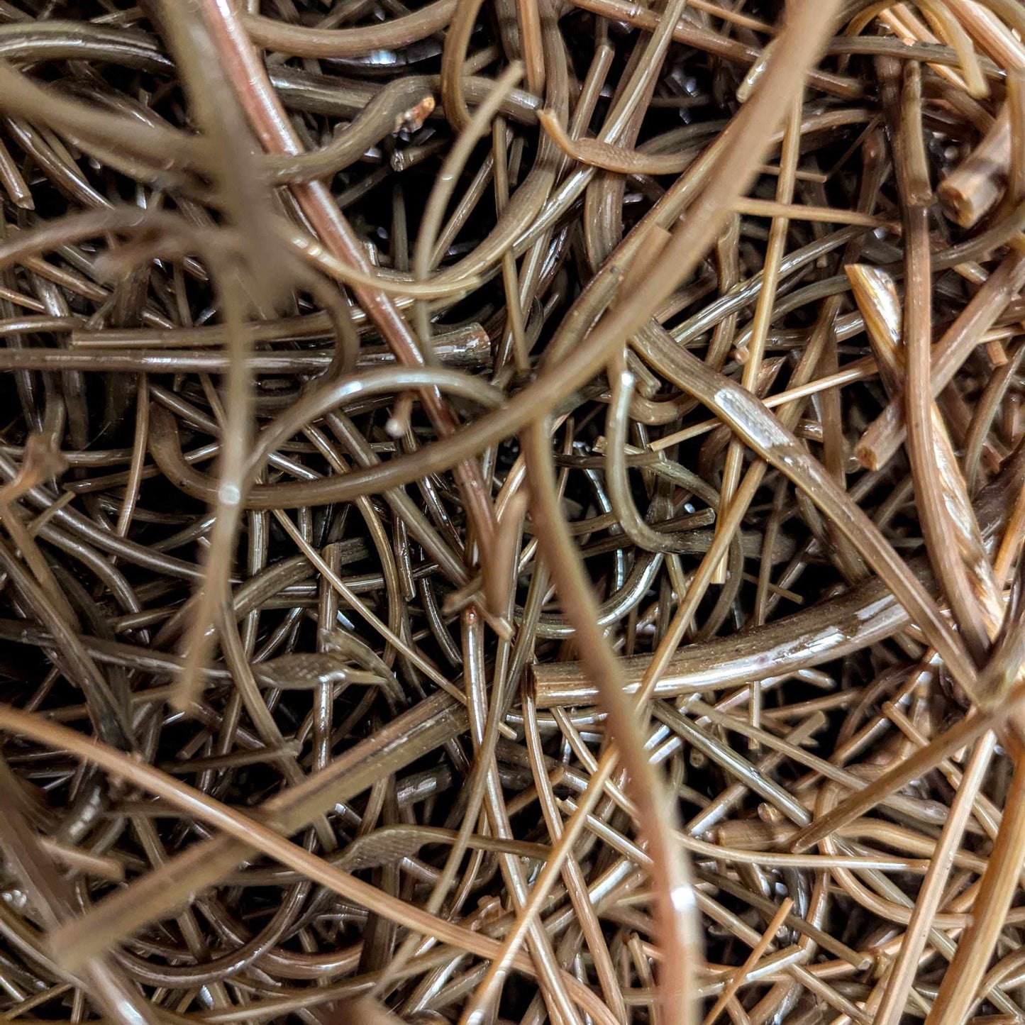 Brown Vitrigraph Glass Stringers